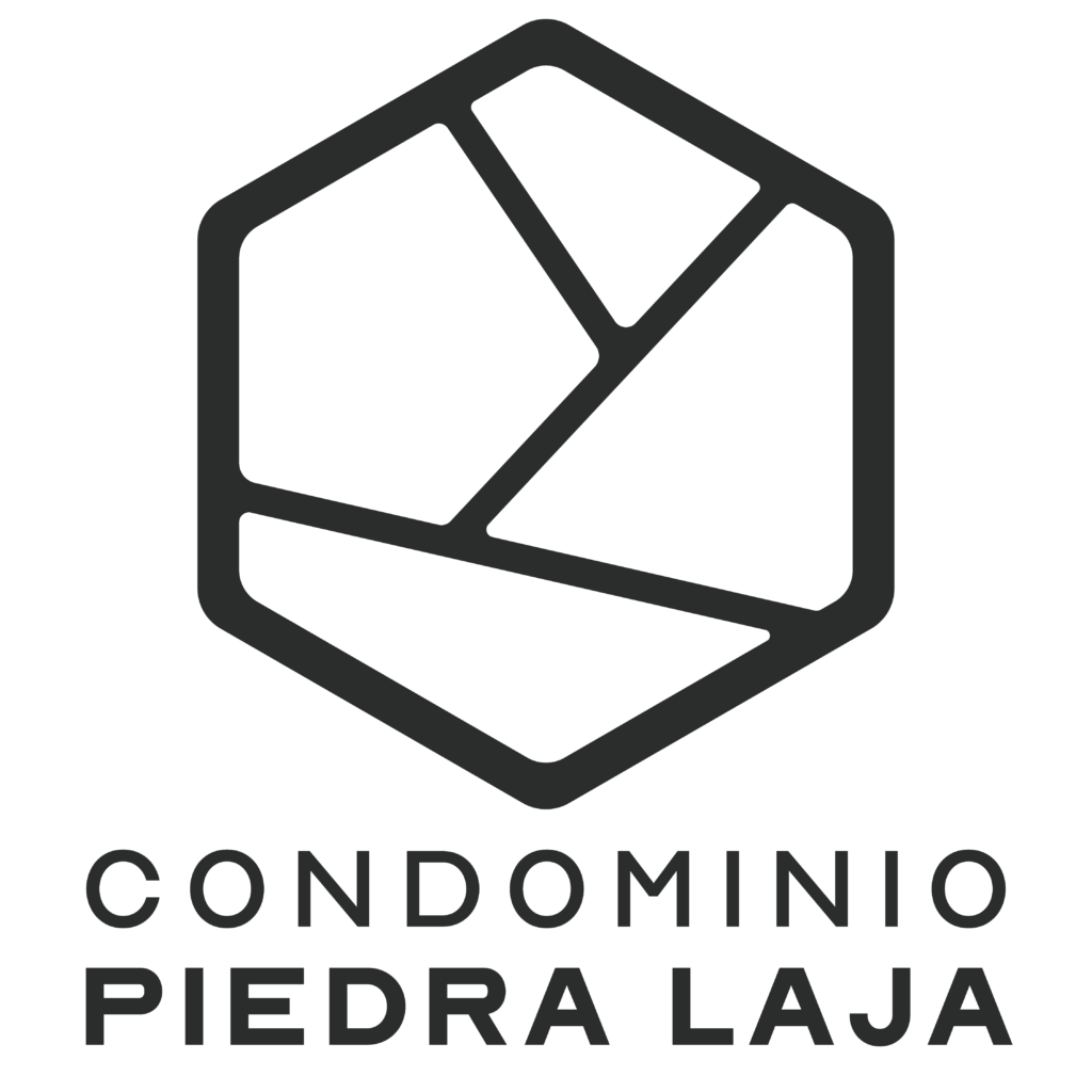 logo pl mesa de trabajo 1 copia